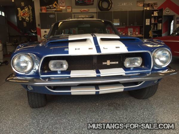 Shelby GT-350 for sale