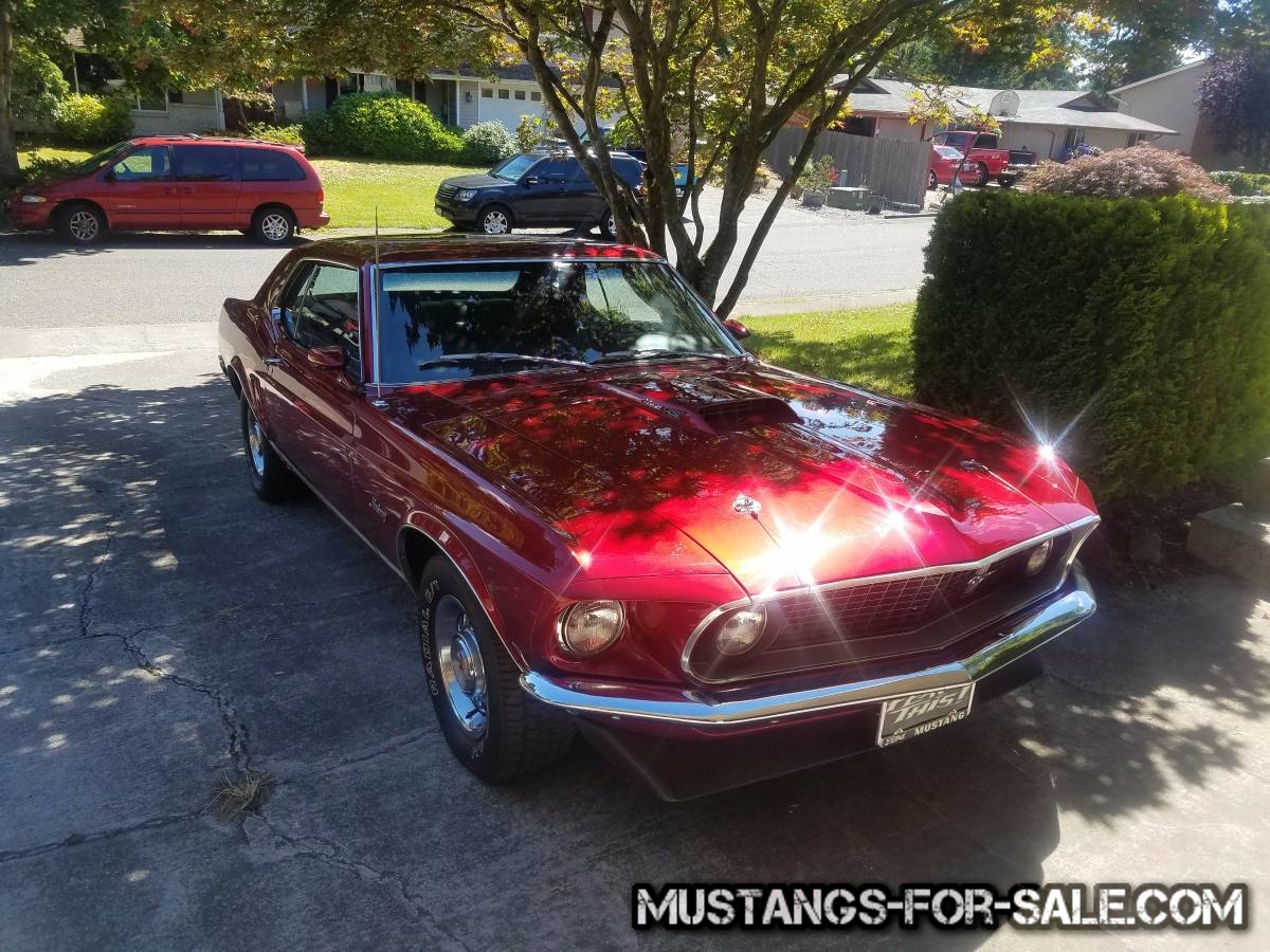 1969 428 CJ GT Mustang Coupe