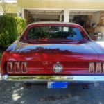 1969 428 CJ GT Mustang Coupe - rear view